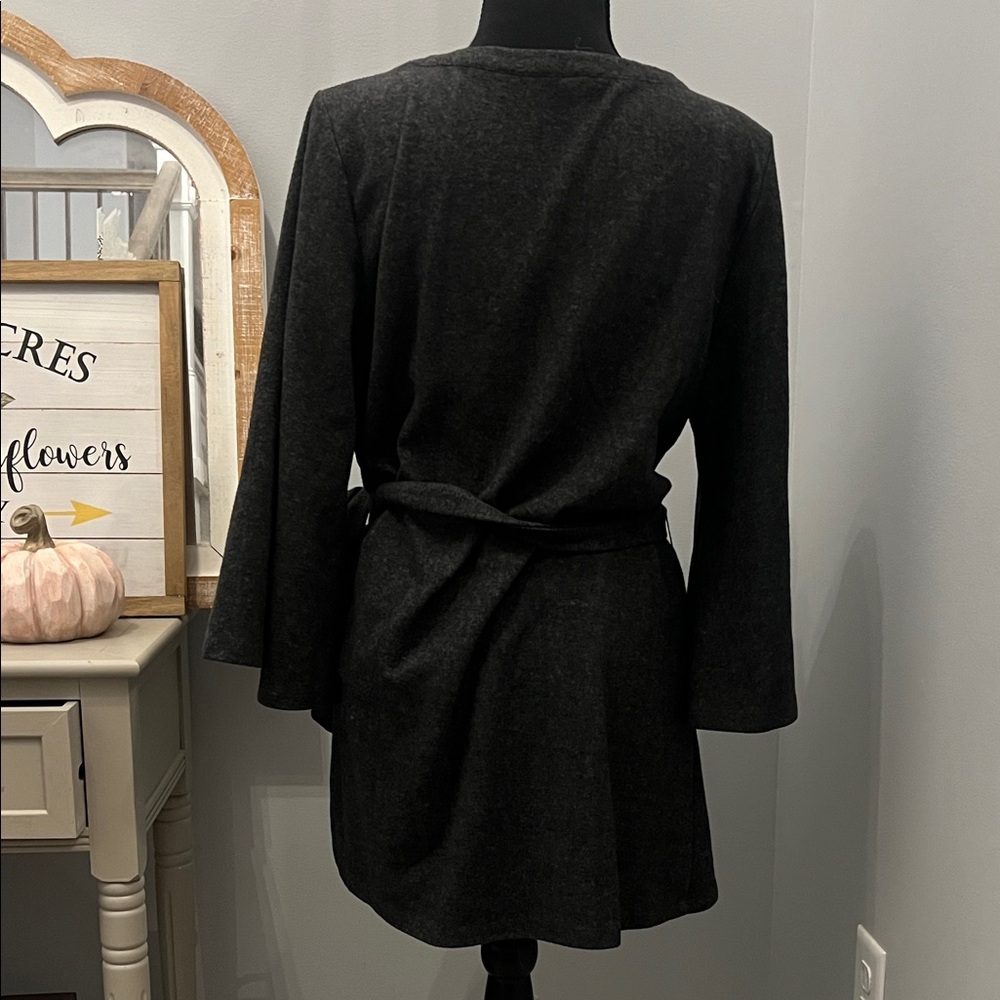 Doe & Rae Charcoal Gray Tunic with Belt from dry goods - Picture 5 of 7